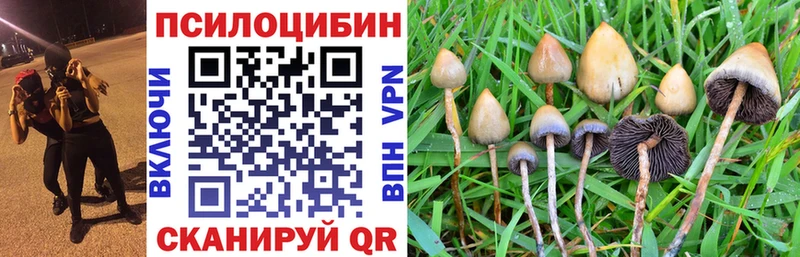 Купить закладки  Первомайск  Псилоцибиновые грибы прущие грибы 